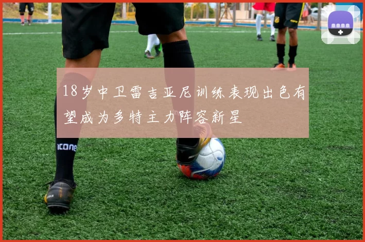 18岁中卫雷吉亚尼训练表现出色有望成为多特主力阵容新星