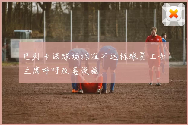 巴列卡诺球场标准不达标球员工会主席呼吁改善设施